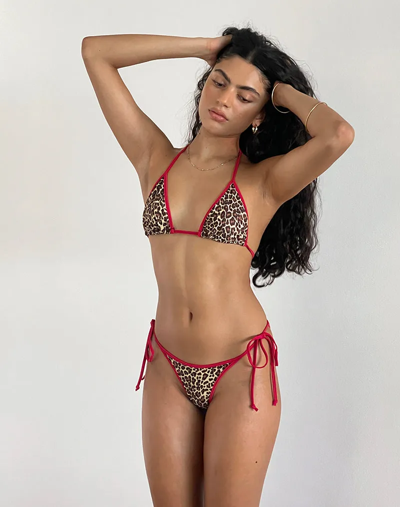 Lentra Contrast Ties Bikini Bottoms in Rar Leopard