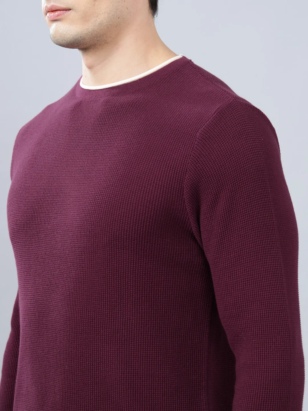 Men's Purple Self Design Full Sleeve Sweater