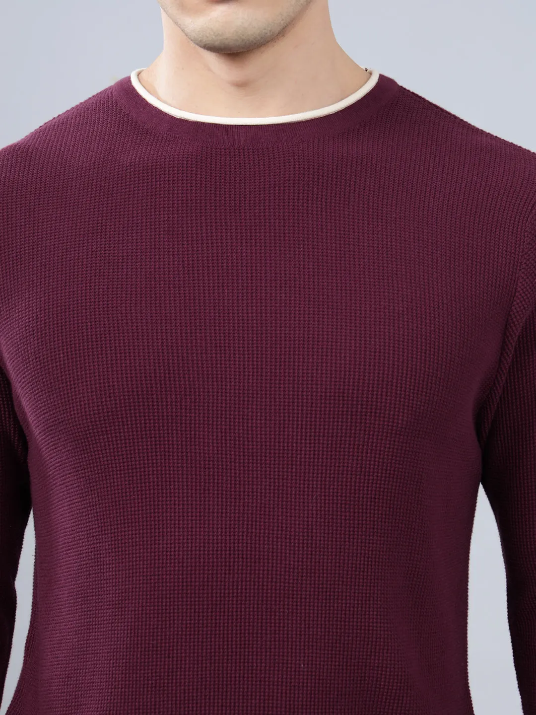 Men's Purple Self Design Full Sleeve Sweater