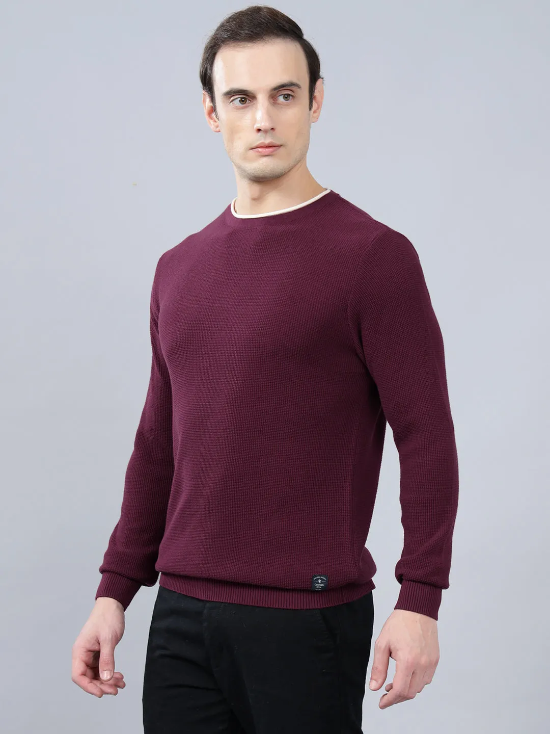 Men's Purple Self Design Full Sleeve Sweater