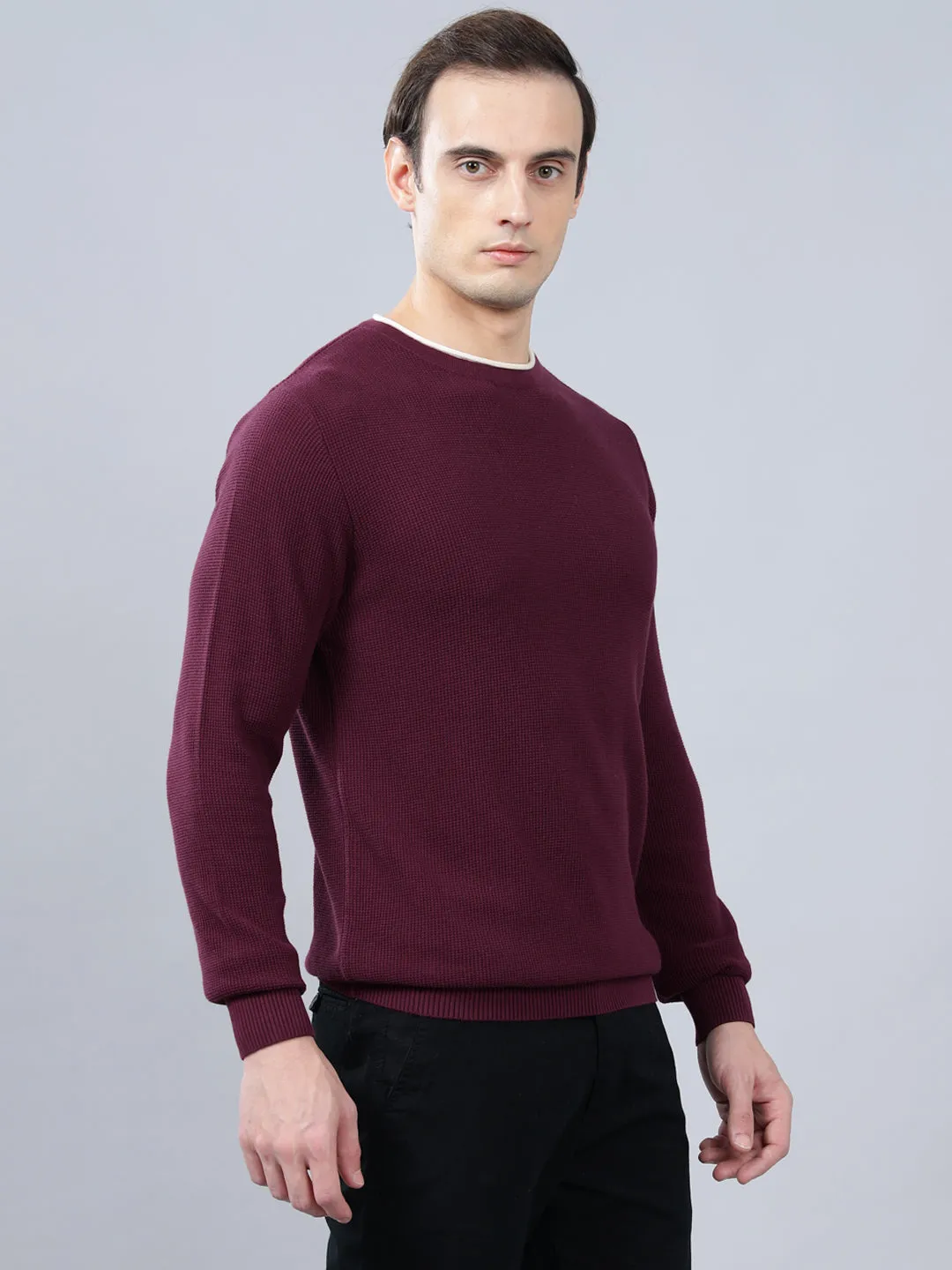 Men's Purple Self Design Full Sleeve Sweater