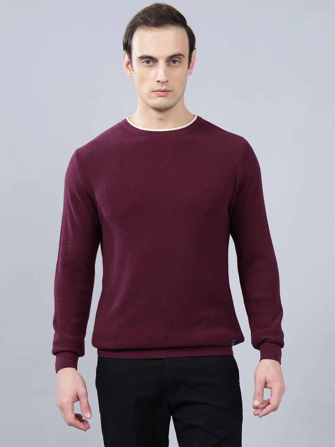 Men's Purple Self Design Full Sleeve Sweater