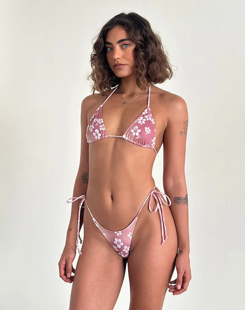 Pami Bikini Top in Hibiscus Floral