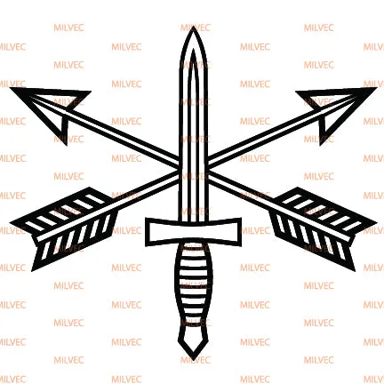 Special Forces Branch Vinyl Decal